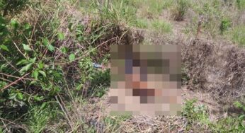 Médico de 33 anos morre após bater carro em cavalo na PE-365, em Serra  Talhada, Caruaru e Região