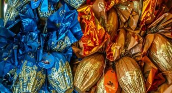 Vira-lata caramelo pode virar manifestação cultural imaterial do Brasil